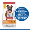 2.5 Kg Orta Irk Yetişkin Köpek İçin Tavuklu Mama