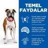 2.5 Kg Orta Irk Yetişkin Köpek İçin Tavuklu Mama