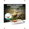 3 Adet Gerçekçi Silikon Karides Balık Yemi - LRF Spin