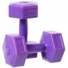 3 Adet Plastik Dambıl Seti, Mor Renkli ve Dayanıklı