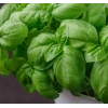 3 Gram Fesleğen Tohumu, Çoklu Paket