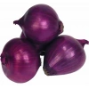 3 Gram Mor Soğan Tohumu, Çoklu Paket