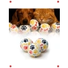 3lü Pati Desenli Kedi Köpek Oyun Topu 6.5 cm (Diş Dostu)