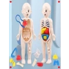 3D İnsan Vücudu Anatomisi Eğitici Yapboz