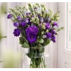 5 Adet Mavi Renkli Katmerli Bodur Lisianthus Çiçeği Tohumu