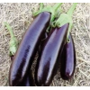 5 Gram Kemer Patlıcan Tohumu, Çoklu Paket