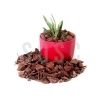 5 Litre İthal Çam Kabuğu ile Bahçenizi Zenginleştirin