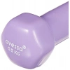 500 gr mor renkli vinil dambıl, tek adet