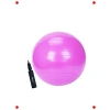 75 cm Çapında Pilates ve Egzersiz Topu