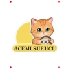 Acemi Sürücü Kedi Araba Etiketi - Çok Renkli