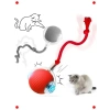 Akıllı İnteraktif Kedi Oyuncağı USB Şarjlı