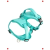 Akıllı Künyeli Sport Köpek Göğüs Tasması (L Beden, Turkuaz)