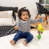 Baby Einstein Cal-a-Puller Pull & Shake Oyuncak, Yaş 0 Ay ve Üzeri