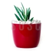 Bahçe Süsleme ve Akvaryum için 1-2 cm Çakıl Taşı