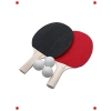 Başlangıç Masa Tenisi Seti (2 Raket + 3 Top)