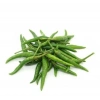 BİBER SÜS AŞAĞIBAKAN (ÇOKLU TOHUM) - 3 Gram