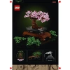 Bonsai Ağacı Yapım Seti Yetişkinler İçin Ev Dekorasyonu