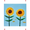 Botanik Ayçiçeği Modeli - Dekoratif Yapım Seti