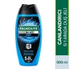 Canlandırıcı Erkek Duş Jeli, 500 ml, 5in 1 Arada