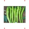 Çetinel Biber Tohumu - Yüksek Verimli - 10 gram