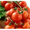 Chery domates tohumları, 100 adet, tatlı ve verimli hasat için