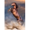 CLEMENTONI 500 el. HQ Wild Red Stallion [PUZZLE]