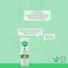 Doğal Dudak Koruyucu, Nane & Limon Aromalı 6 g