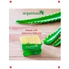 Doğal Kabak Lifli Aloe Vera Sabunu 3lü Set