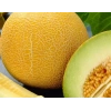 Doğal lia Kavun Tohumu