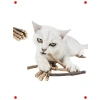 Doğal Matatabi Kedi Çiğneme Çubuğu 5 Adet