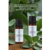 Doğal Okaliptus Uçucu Yağı - 1 Paket, 10 ml