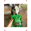 Doğal Tavuk Boyun Köpek Çiğnemeliği - Glutensiz, 100g