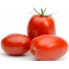 Domates Rio Tohumu - Aksel 10 gr