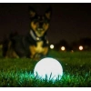 Fosforlu Gece Parlayan Köpek Oyun Topu, Dayanıklı ve Eğlenceli