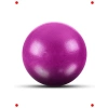 Fuşya Renk Pilates Topu - Egzersiz ve Denge
