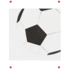 Futbol Temalı Parti Peçeteleri - 16 Adet