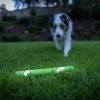 Gece Parlayan Köpek Oyuncağı, Ultra Fetch Stick
