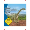 Gerçekçi Brachiosaurus Dinozor Figürü