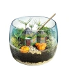 Harry Potter Temalı Teraryum Seti, Hagridin Kulübesi