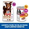 Hills Hills Ördekli Medium Köpek Maması 14