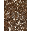 Ithal Sphagnum Torfu ve Cocopeat Karışımı, Saksı İçin 5 LT