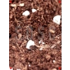 İthal Torf Cocopeat Perlit Karışım Saksı Harcı - 1 Lt