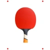 ITTF Onaylı Masa Tenisi Raketi