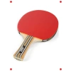 ITTF Onaylı Performans Masa Tenisi Raketi