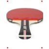 ITTF Onaylı Performans Masa Tenisi Raketi