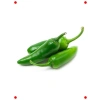 Jalapeno Biber Tohumu (3 gr) - Acı Severlere