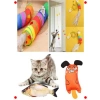 Kedi Oyun Seti: Tünel, Olta, Balık, Fare