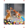 Kedi Oyun Tabancası + Ekstra Peluş Toplar