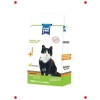 Kısır Yetişkin Kedi Maması Somonlu 1 KG