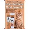 Kısırlaştırılmış Kediler İçin Multivitaminli Malt Macun (100 gr)